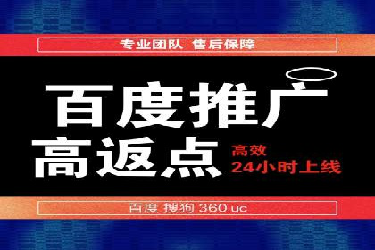 百度竞价排名机制：成功案例与策略探讨